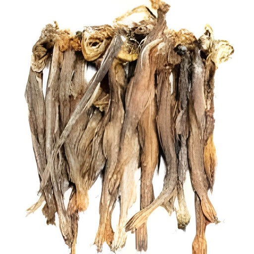 Dry Lotia 200 GM
