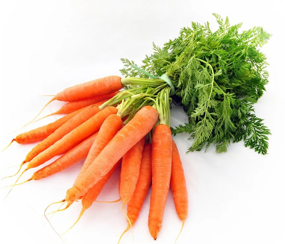 Carrot 1 BAG