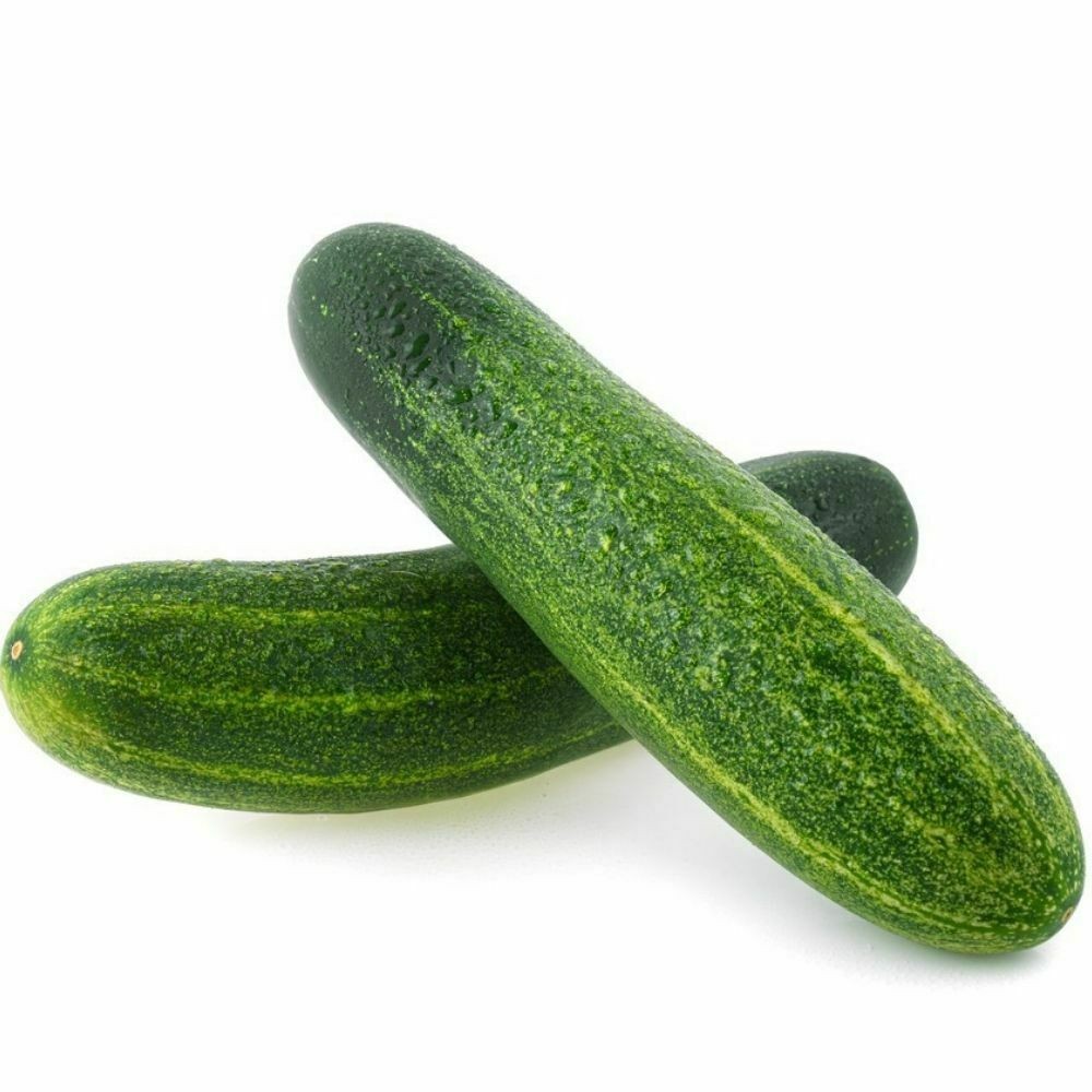 Cucumber Long 1 LBS