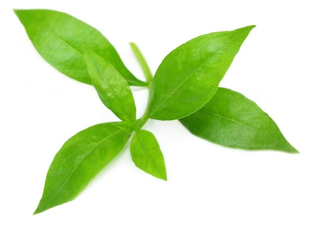Henna Leaves 100 GM