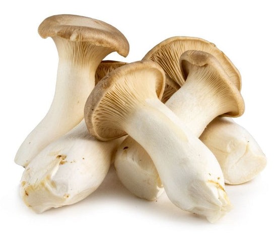 King Oyster Mushroom 1 LBS