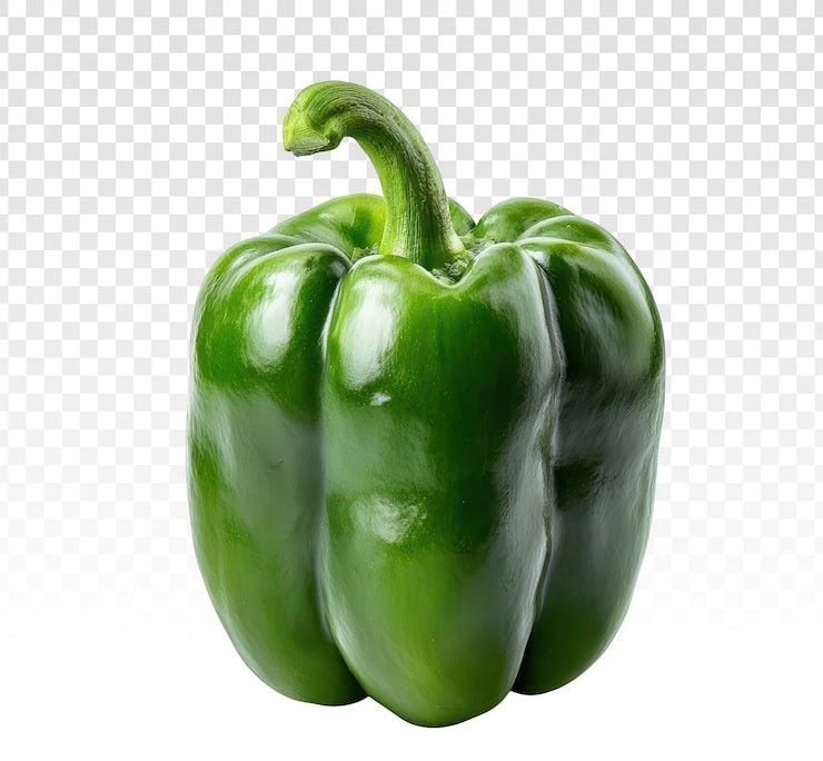 Green Bell Pepper 1 PCS