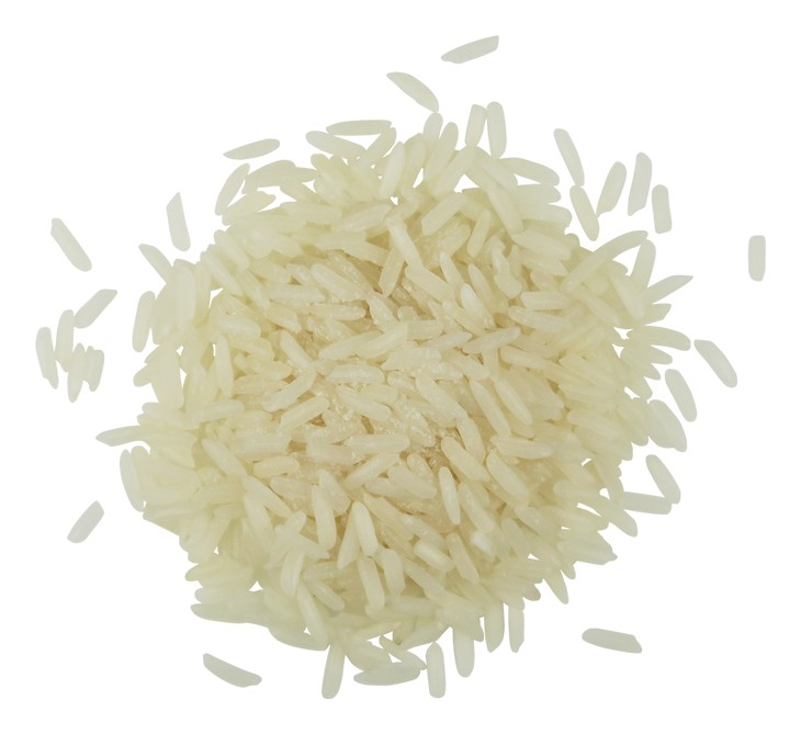 Jasmin 1 LBS