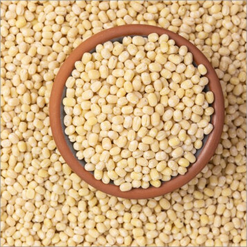 Ankur Urad Gota 2 LBS