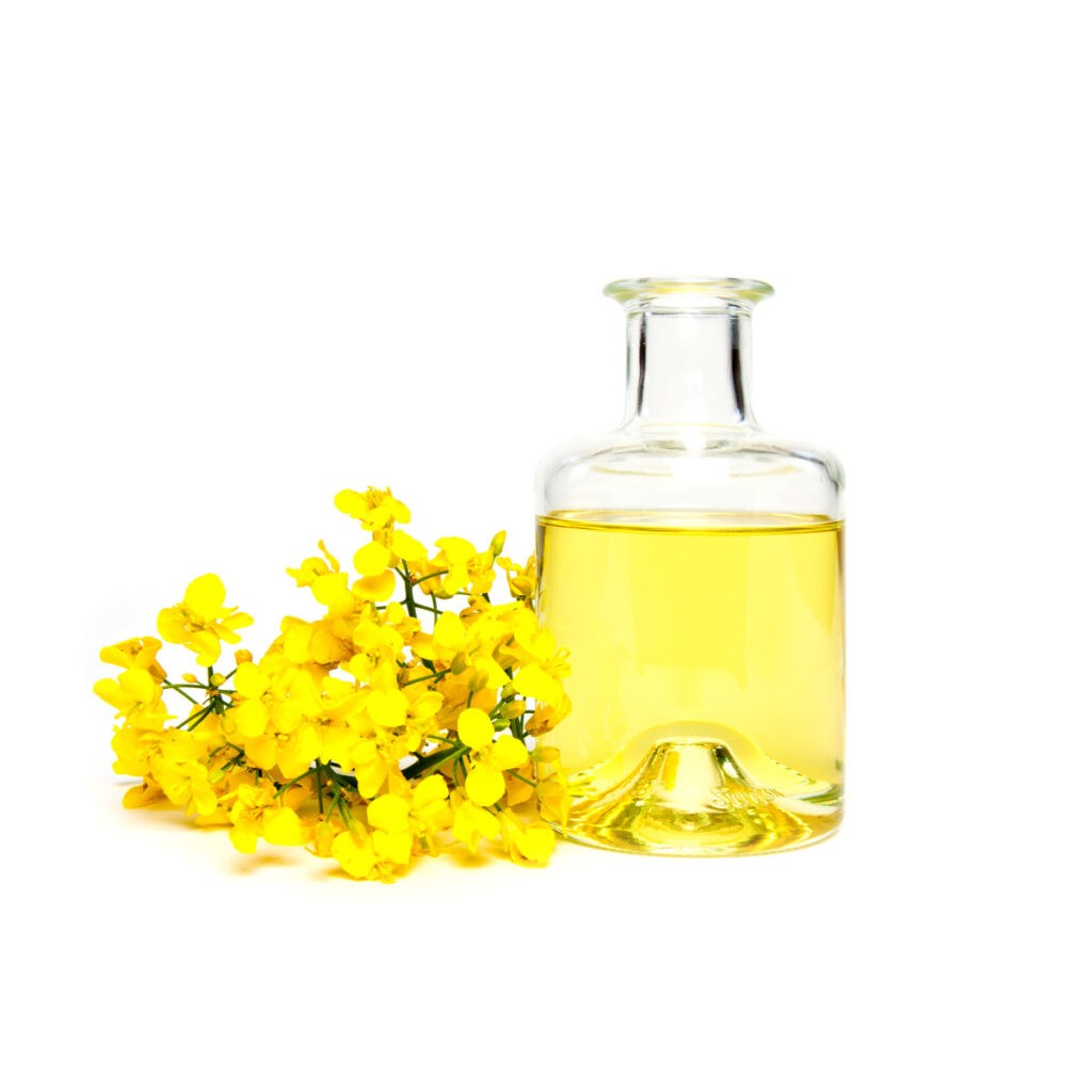 Canola Oil 48 OZ
