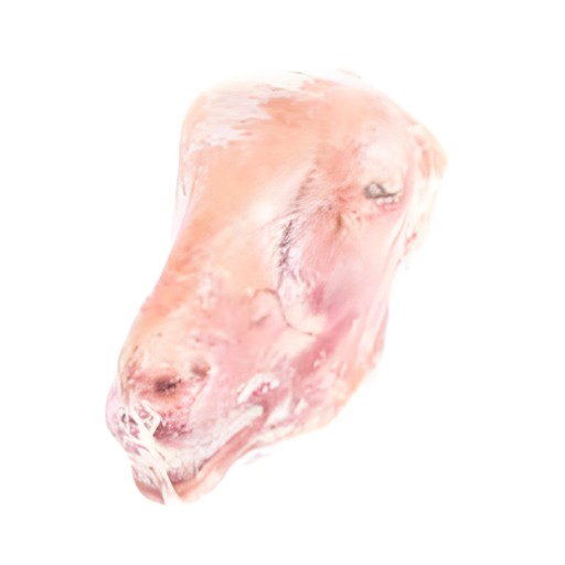 Halal Goat Head 1 Each