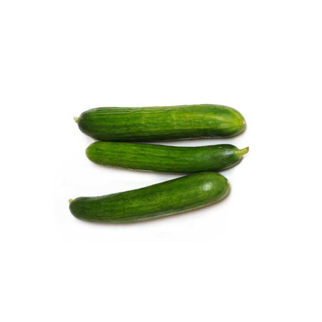 PERSI CUCUMBER 1 LBS