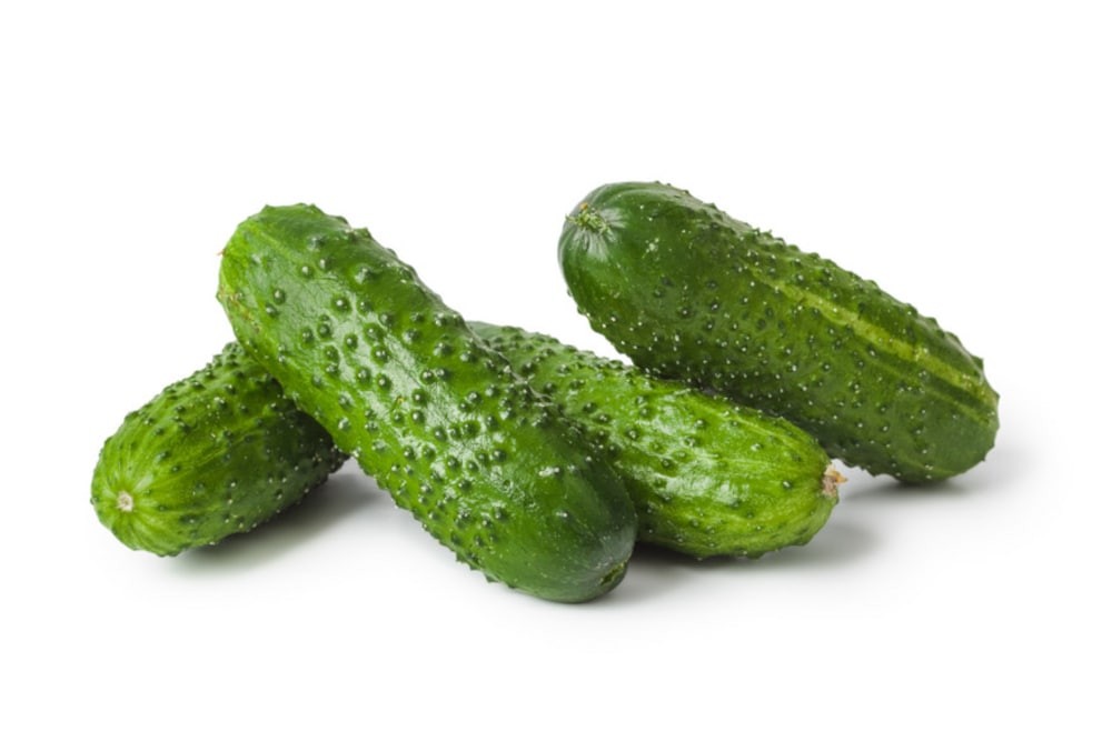 DILL CUCUMBER 1 LBS