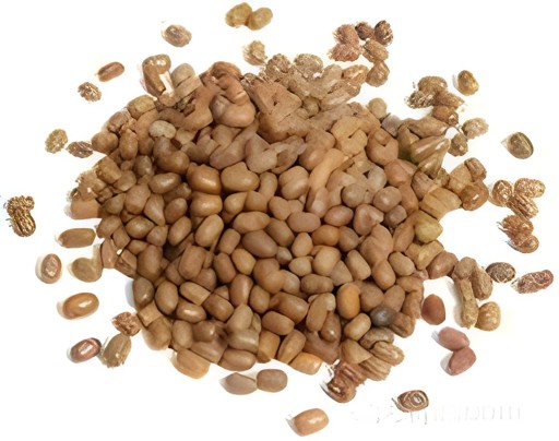 Bansi Moth Beans 4 LBS
