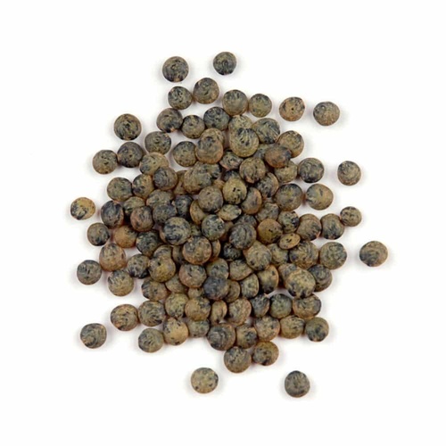 DEEP GREEN LENTILS 2 LBS