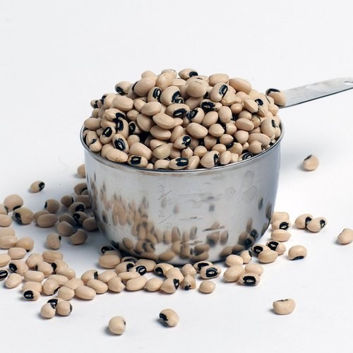 Bansi Chora 2 LBS