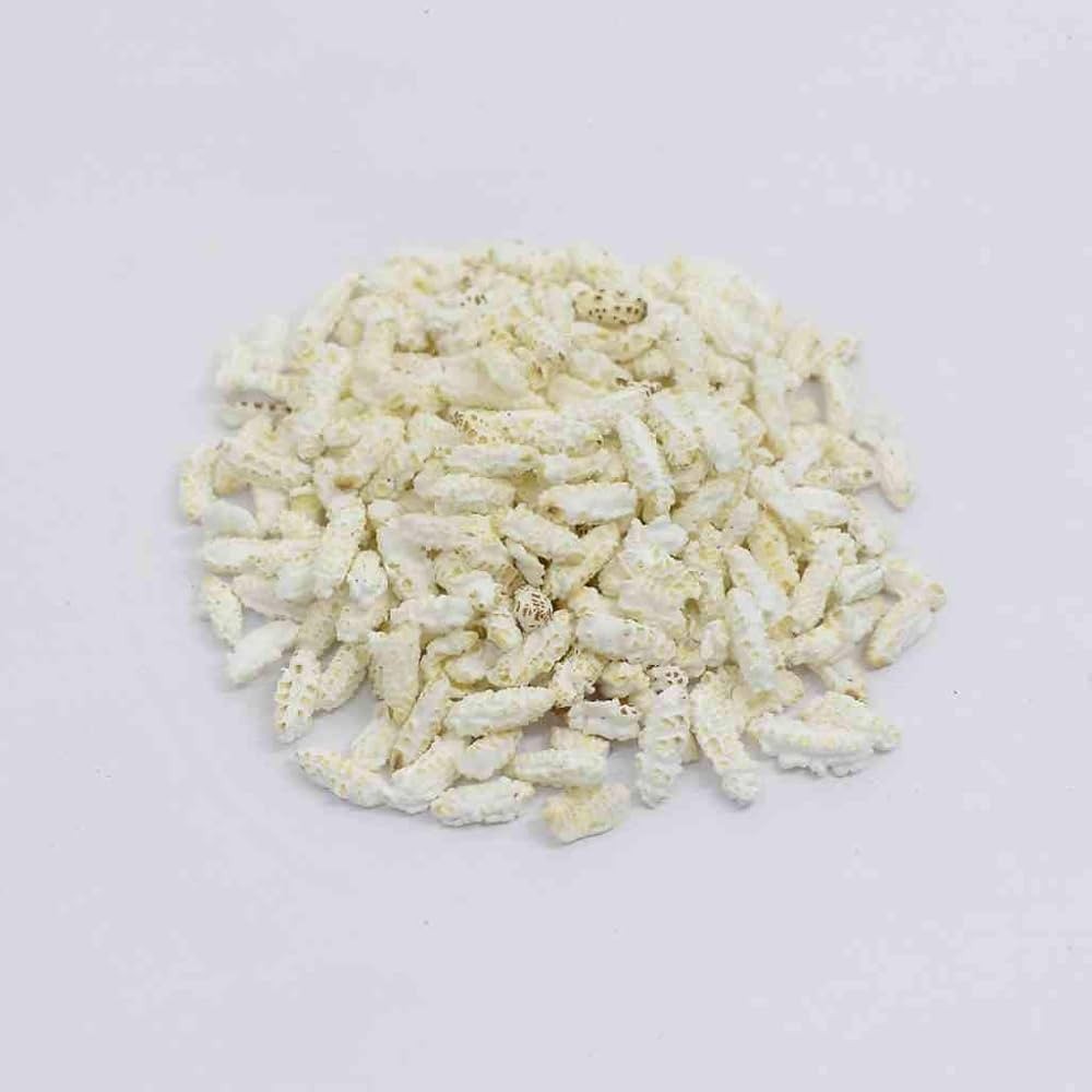 BANSI PLAIN KEEL 100 GM