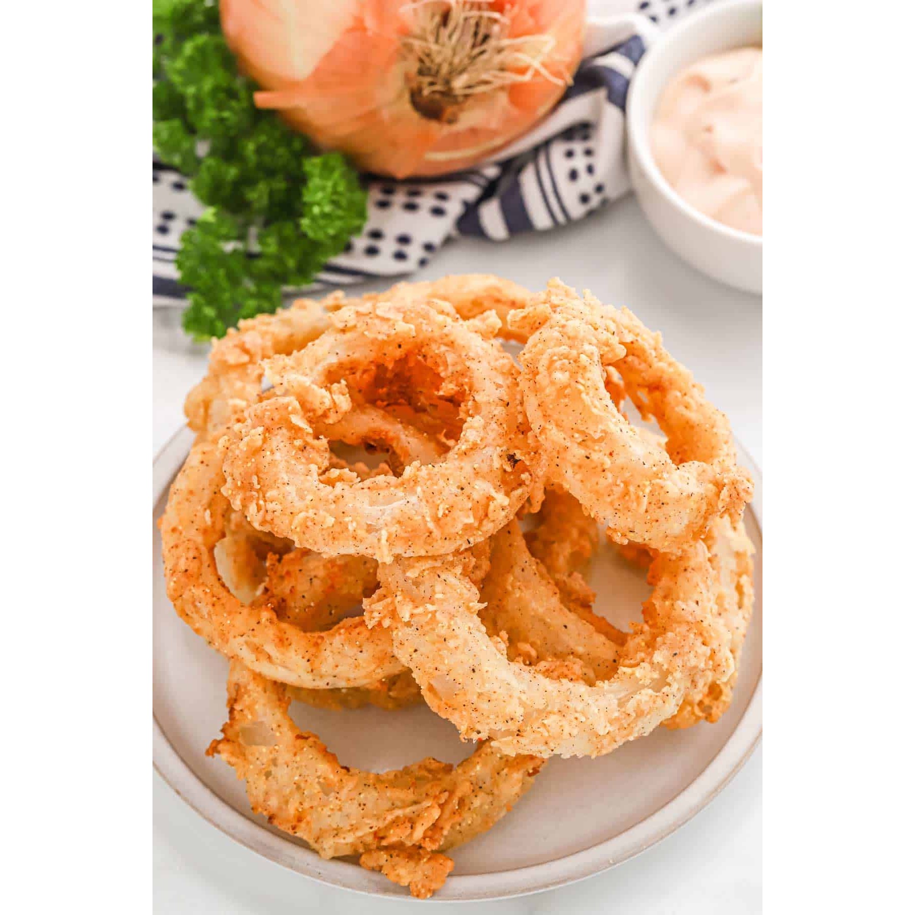 Fried Onion 454 GM