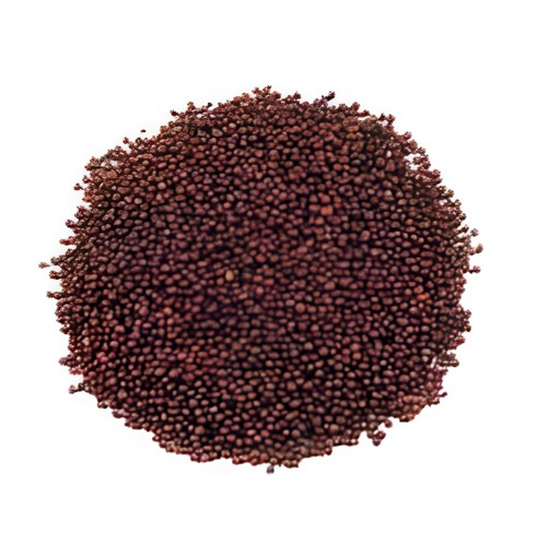 DEEP MUSTARD SEEDS 2 LBS
