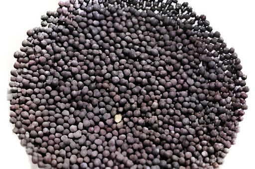Deep Mustard Seeds 7 OZ