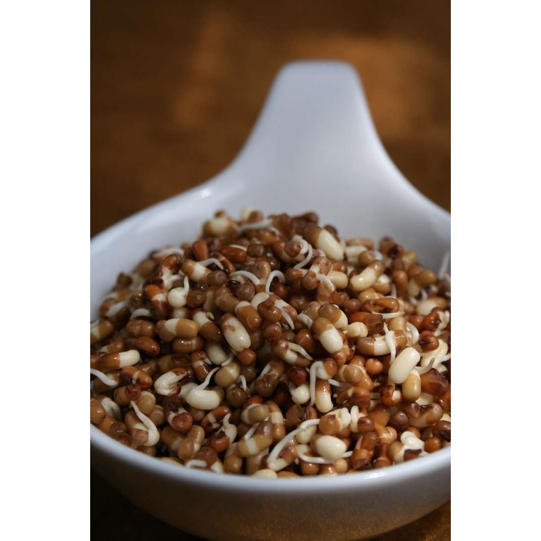 DEEP SPROUTED MOTH  1 LBS