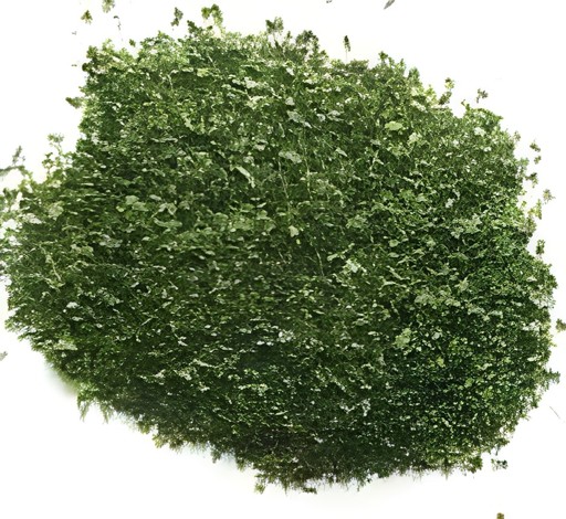 KALUSTYANS   PARSLEY FLAKE ISRAELI GREEN 0.09 Lbs