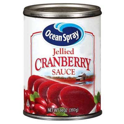 OCEAN SPRAY CRANBERRY JELLY