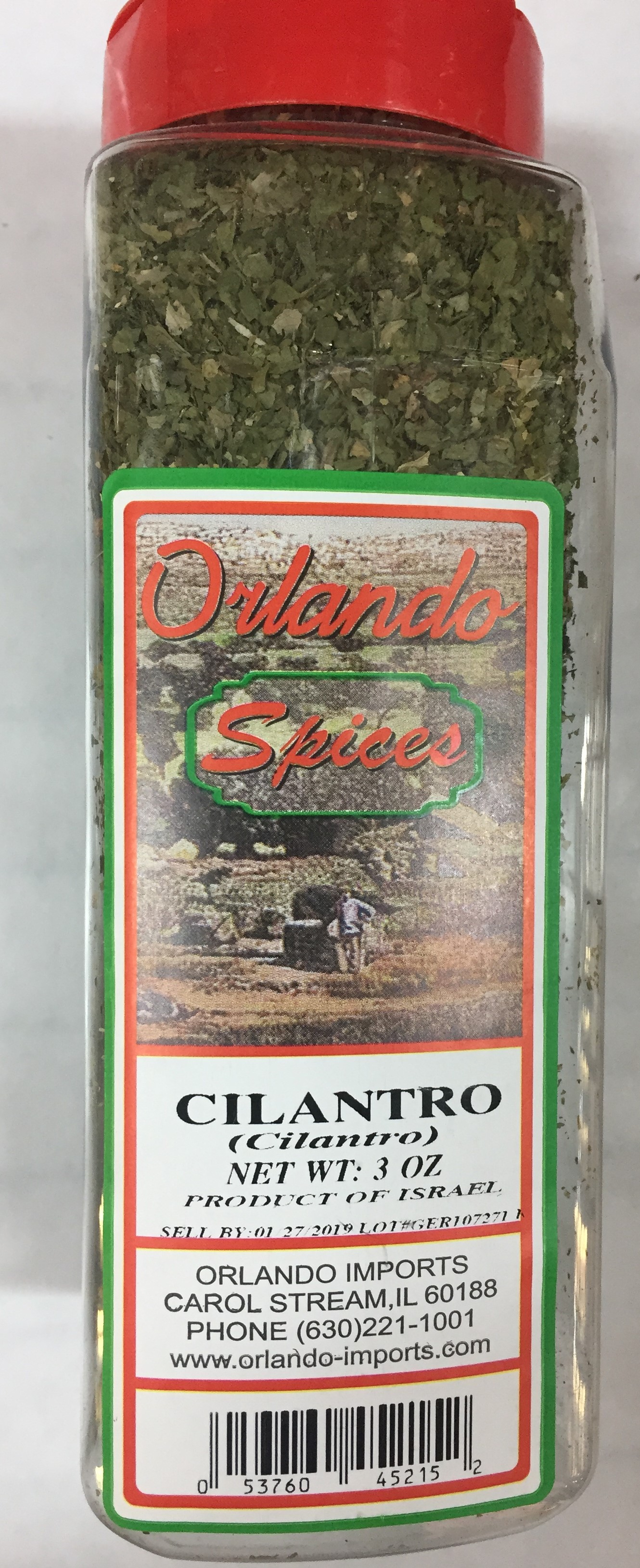 GRECO CILANTRO