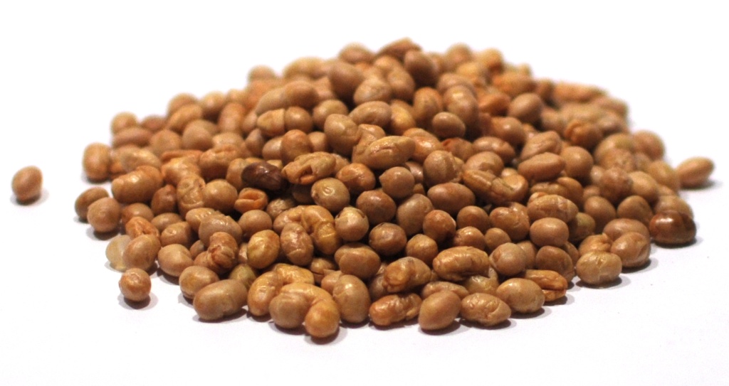ROASTED NON SALTED SOYBEANS