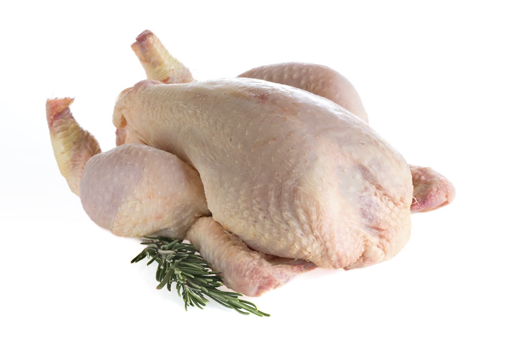 CHICKEN   Halal Chicken Whole