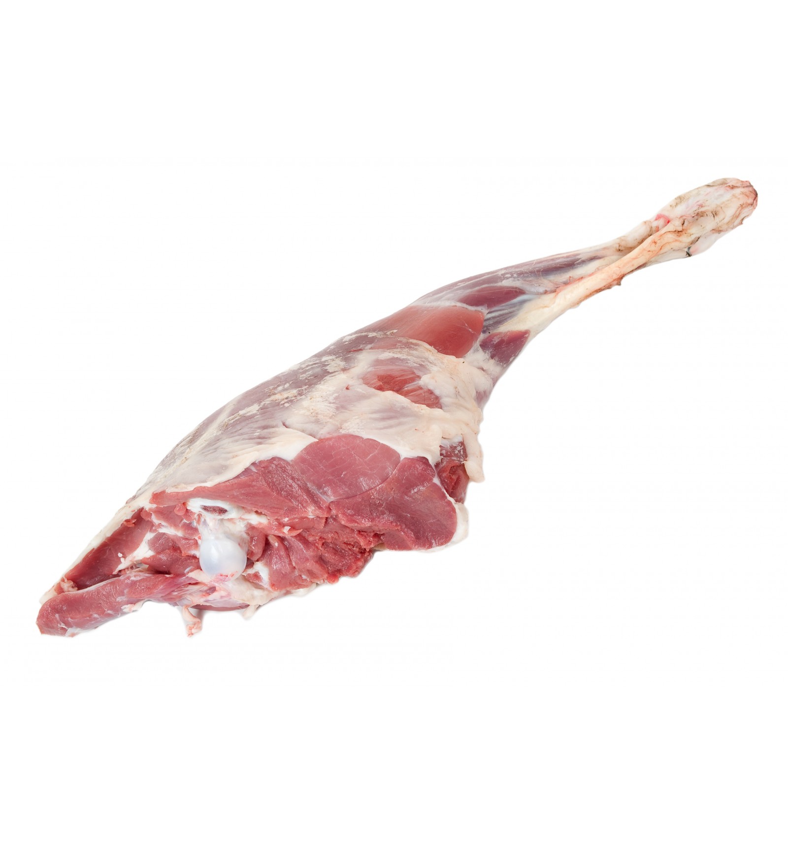 Halal Baby Lamb Leg