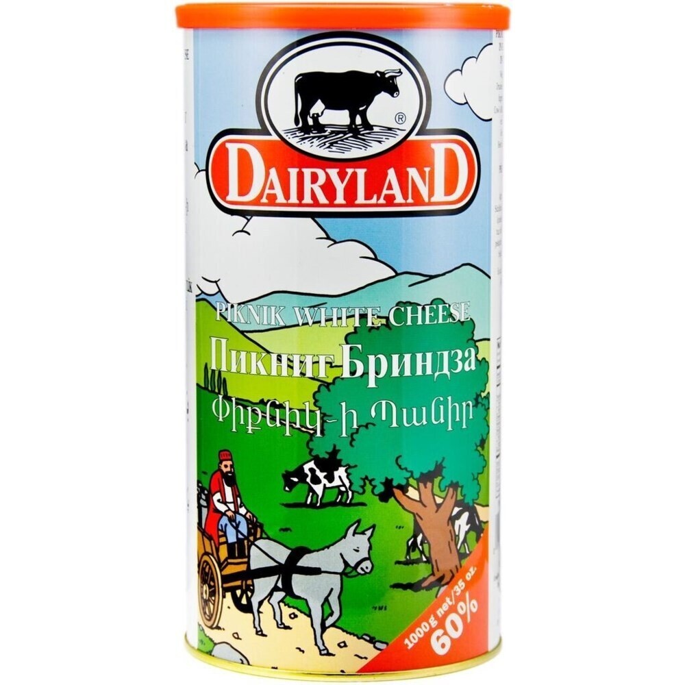 DAIRYLAND PIKNIK WHITE CHEESE 800 GM