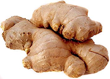GINGER