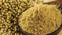 CORIANDER POWDER