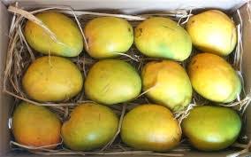 ALPHONSO MANGO BOX