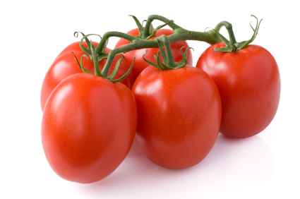 Plum Tomato