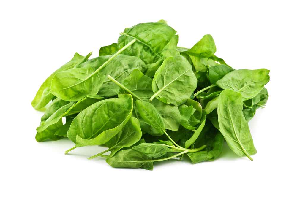 Spinach Cello Bag