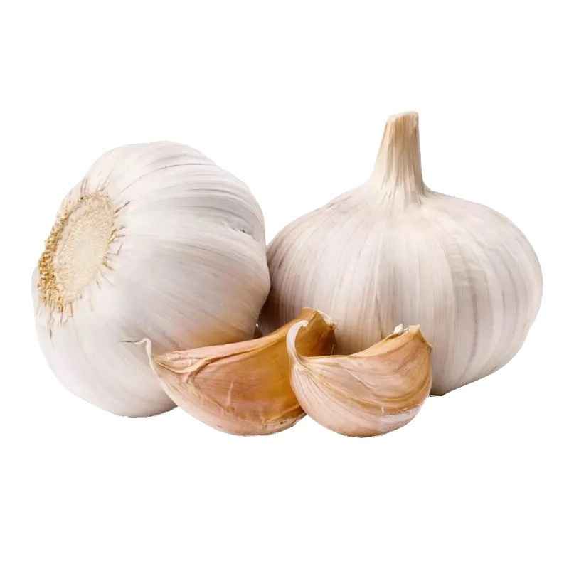GARLIC LOOSE
