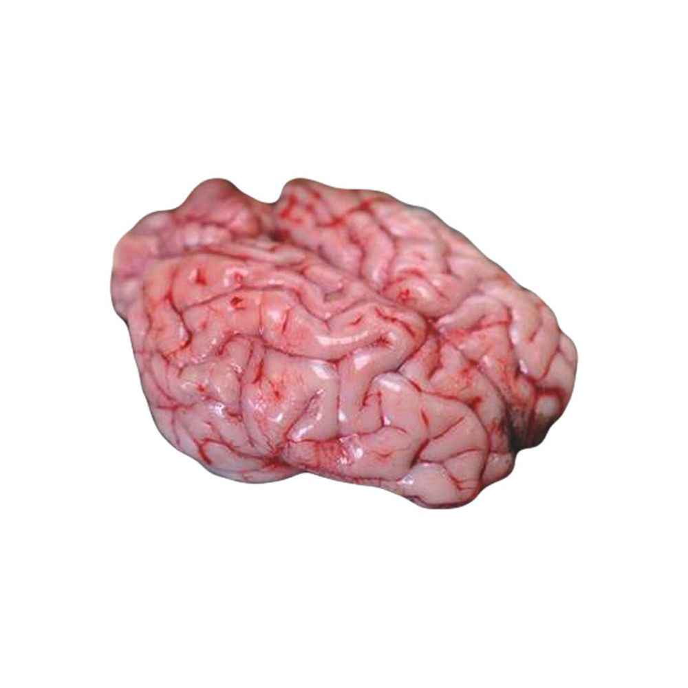 VEAL BRAIN