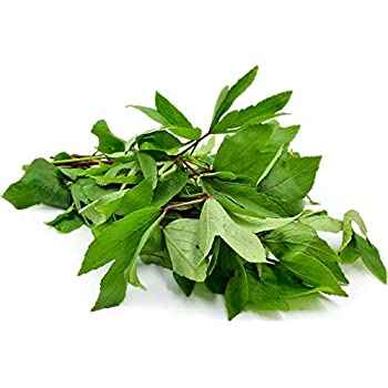 GONGURA LEAVES
