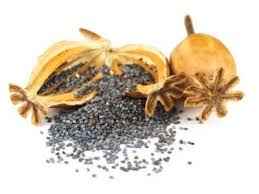 Poppy Seeds