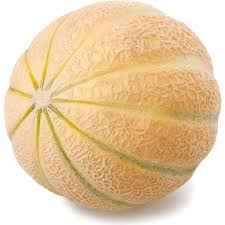 HONEYDEW SM
