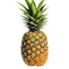 PINEAPPLE LARGE