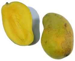 MARATHON MANILLA MANGO