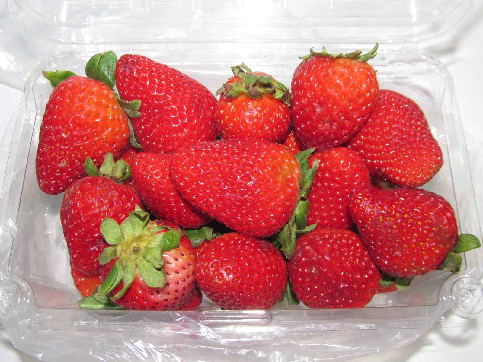 EXPO FRESH STRAWBERRIES