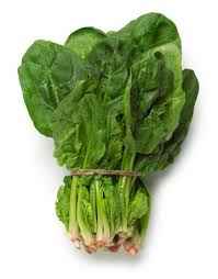 QUEEN VICTORIA SPINACH BABY