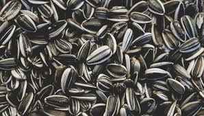 TIDE SUNFLOWER SEEDS