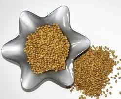 ASLI CORIANDER SEED