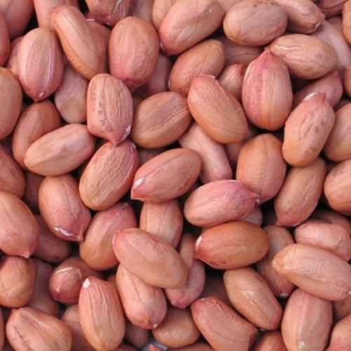 GAZAB RAW PEANUTS