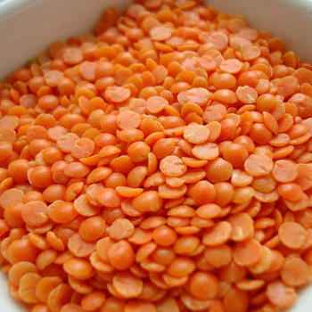 TAJ Premium Indian Masoor Dal Red Lentils