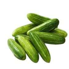 Tindora