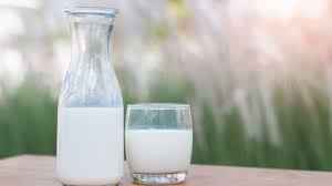Hori Orga Homo Milk
