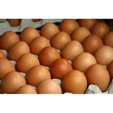 Eggs Organic