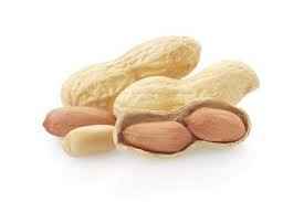 Shiva Peanuts