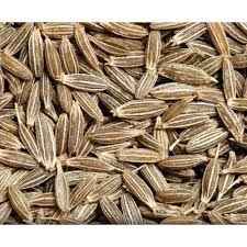 Cumin Seed